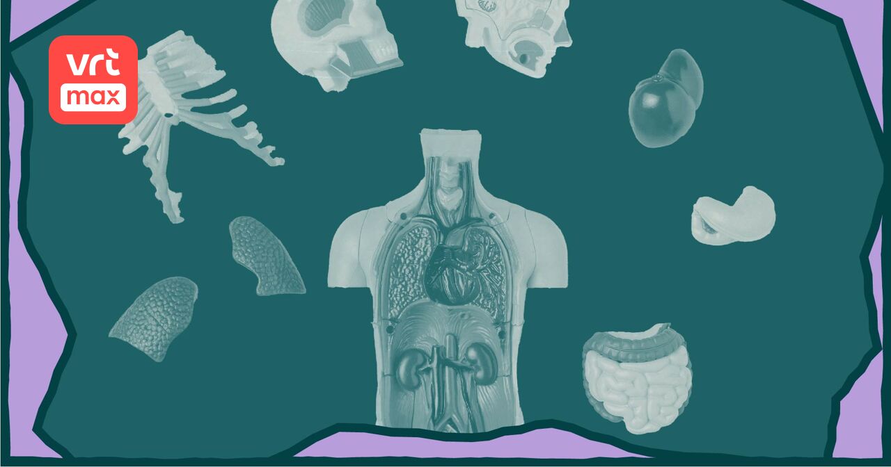 Wat gebeurt er met je lichaam als je het schenkt aan de wetenschap