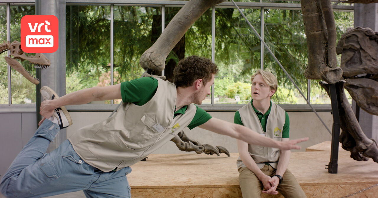 Beter wordt het niet - 6 (1) | VRT MAX