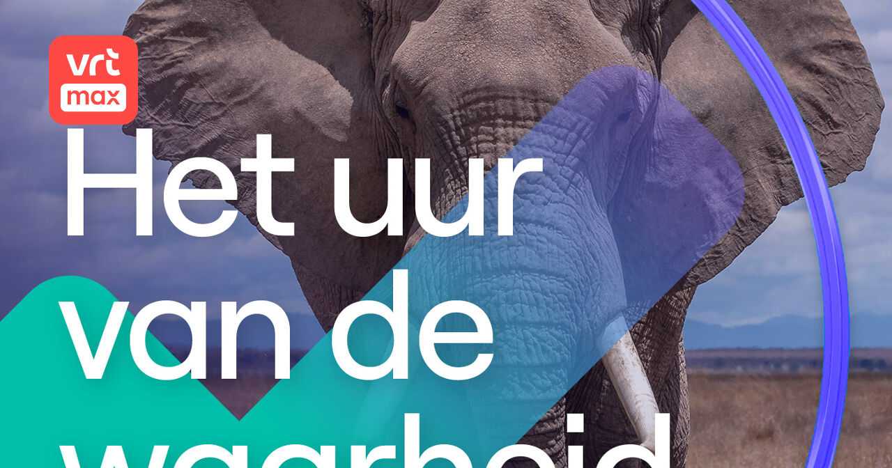 Waarom we zelfs de olifant zullen vergeten mocht hij uitsterven - Het