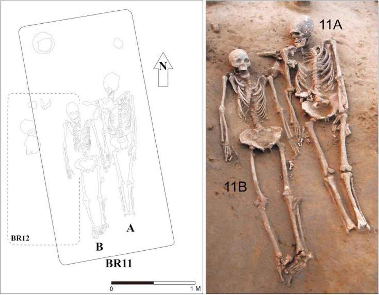 De twee skeletten lagen op hun rug in het graf, het hoofd van de man (11B) was naar de vrouw (11B) toegekeerd. 