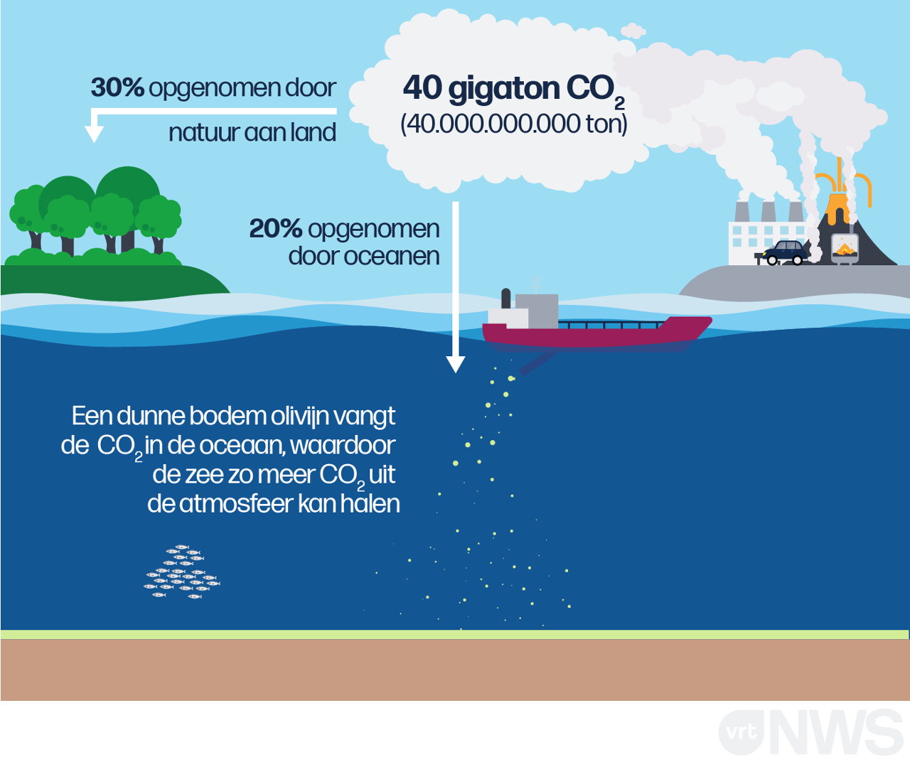 Welke Boom Neemt Meeste Co2 Op Olivijn in zee strooien om CO2 uit de lucht te halen: geen