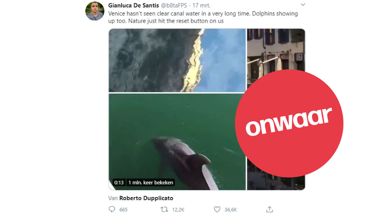 Een schermafbeelding van een tweet van iemand die beweert dat er dolfijnen in Venetië rondzwemmen.