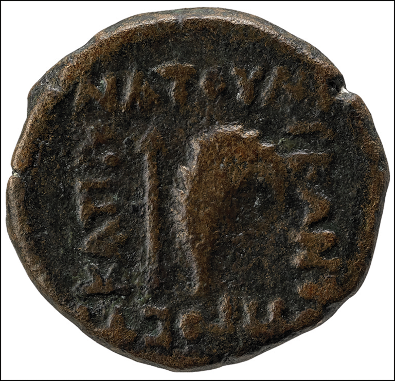 Una delle sette monete che portano il nome Natounia, in alto in greco. Una delle sette monete che portano il nome Natounia, in alto in greco.