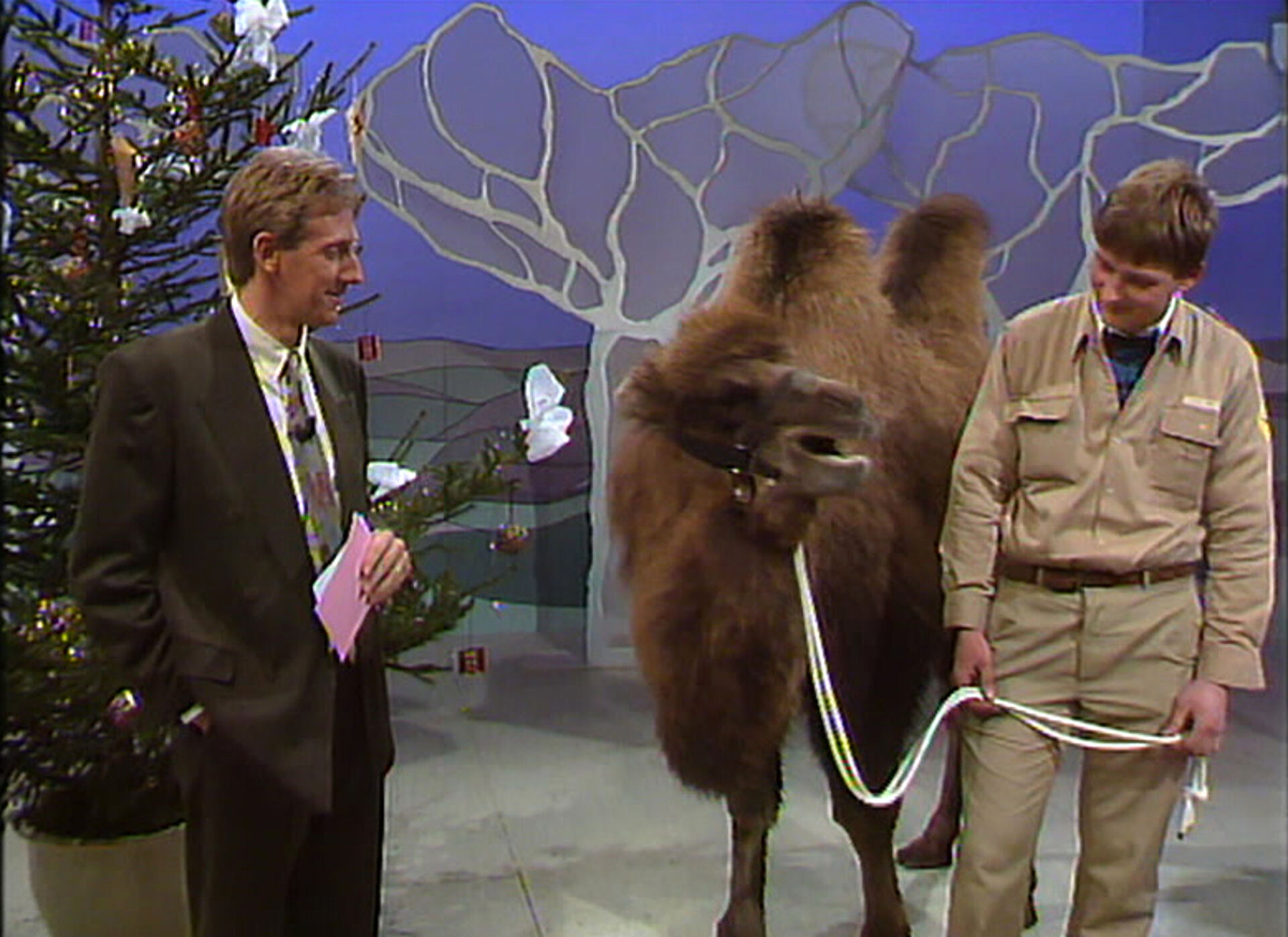 Leven en laten leven | VRT MAX