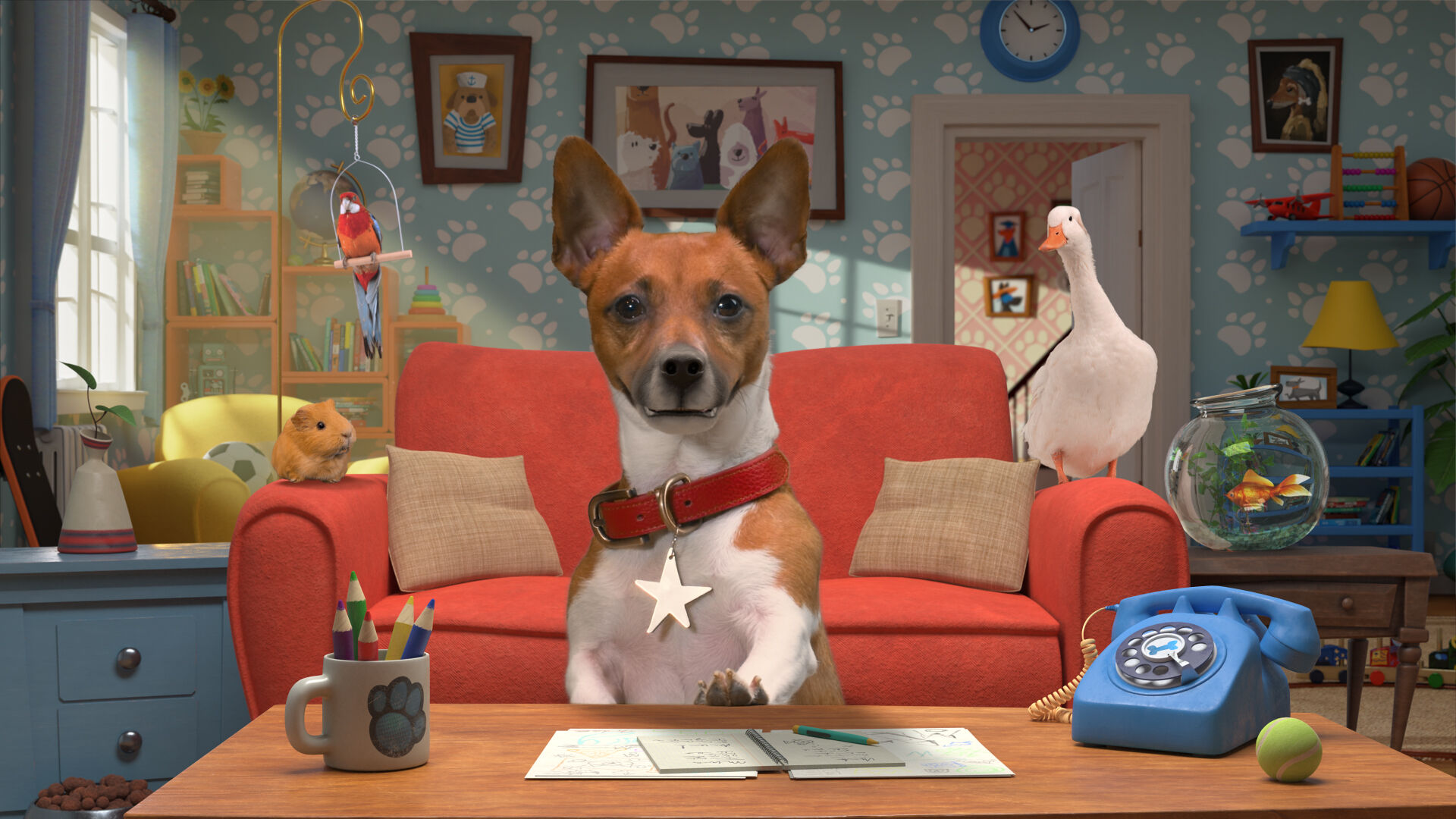 Zotte dieren | VRT MAX