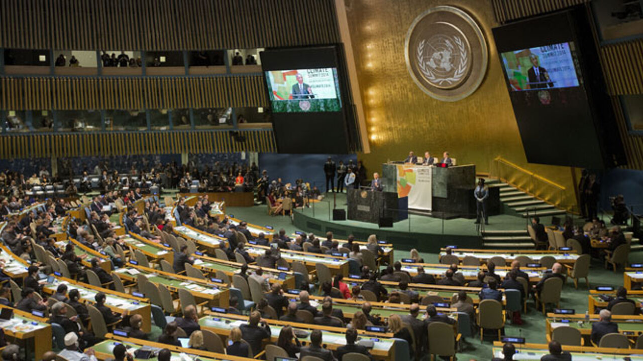 Оон одобрила. ООН климат. Делегат Папуа в ООН. С чем выступает в ООН наша Страна.