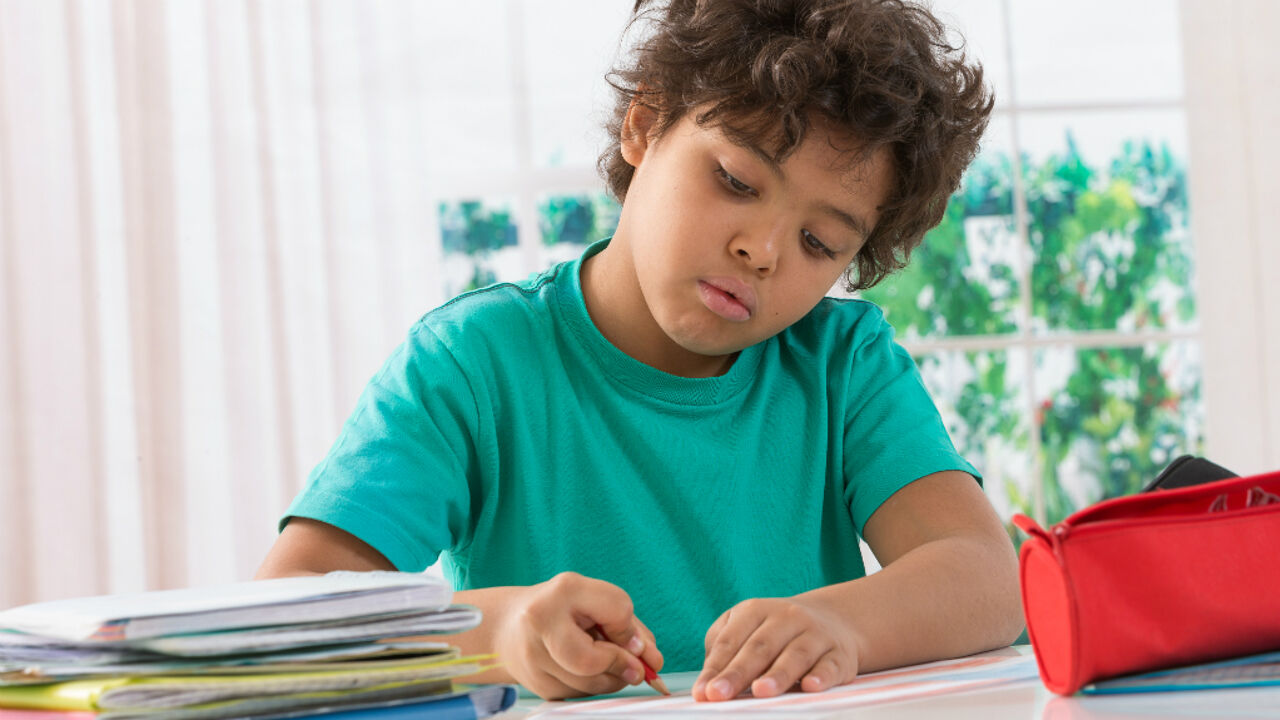 Boy doing homework. The child is doing homework at Home.