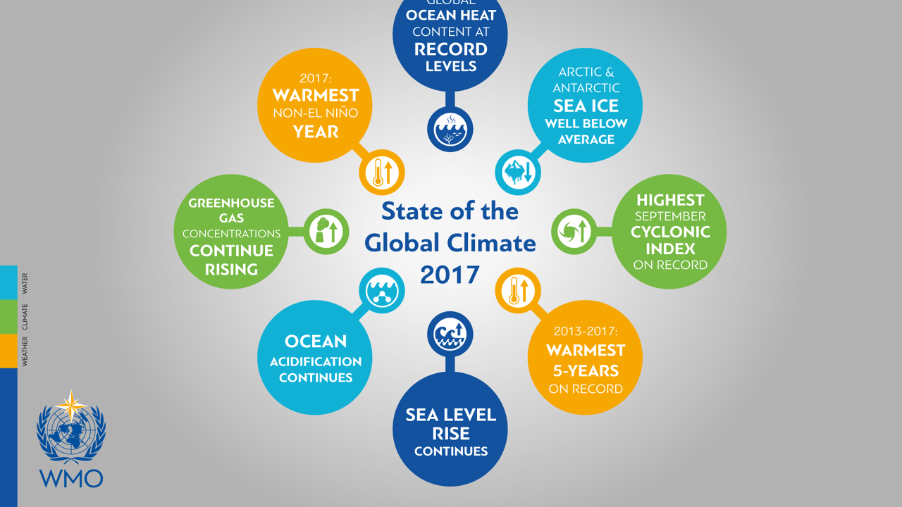 Record ocean. Climate service WMO.