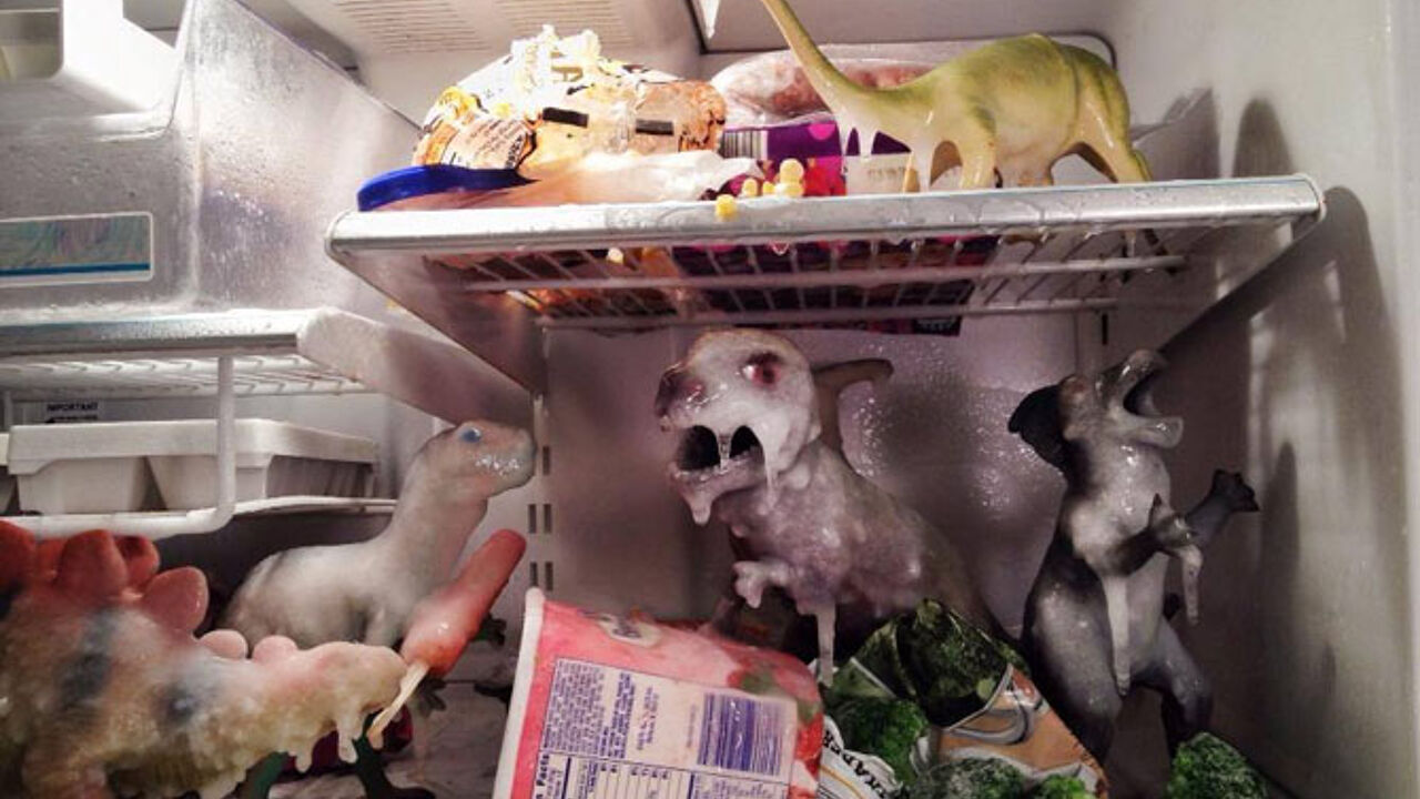 Реальные игрушки которые оживают. Ожившие игрушки. Игрушки оживают ночью. Игрушки оживают ночью. Игрушки оживают ночью.