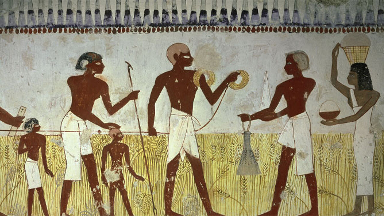 Учет налогов в древнем египте вели. Египетские фрески земледелие. Древний Египет фреска ремесленник. Сборнологов в древнем Египте. Фризовая композиция древний Египет.
