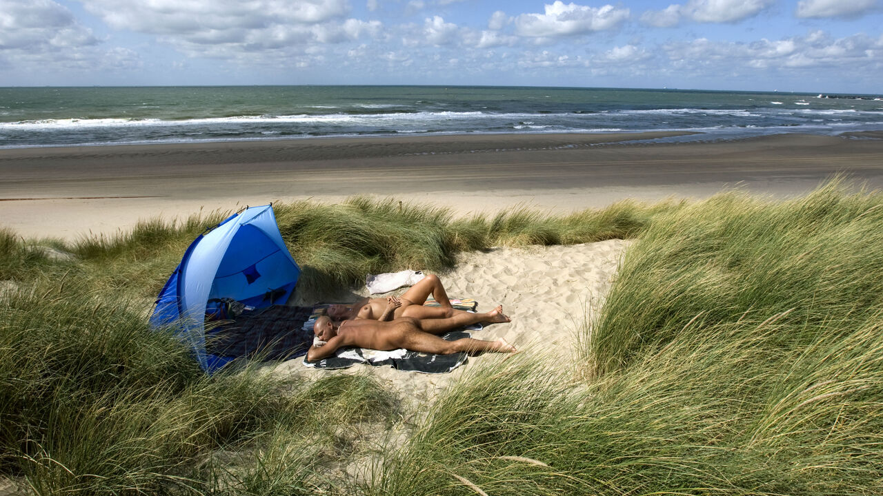 Naaktlopers moeten wijken voor zeldzame vogel: wellicht geen tweede  naaktstrand aan de kust | VRT NWS: nieuws