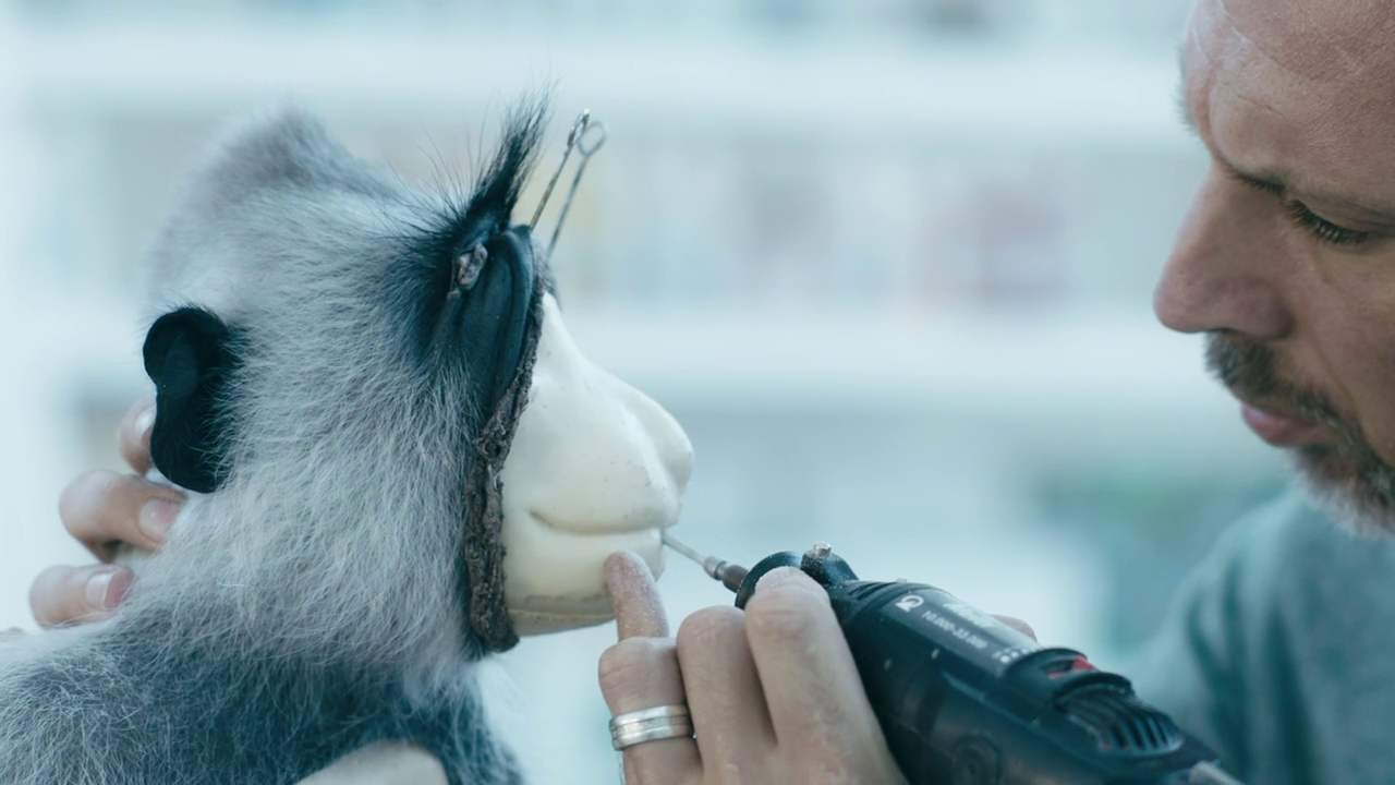 Taxidermie populairder dan ooit: “Mensen zien het op sociale media en