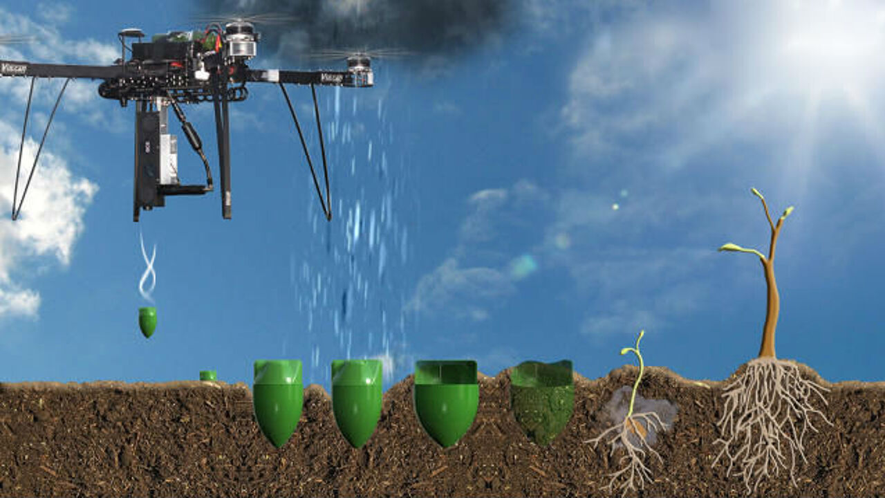 Drone plant tot 40.000 bomen per dag