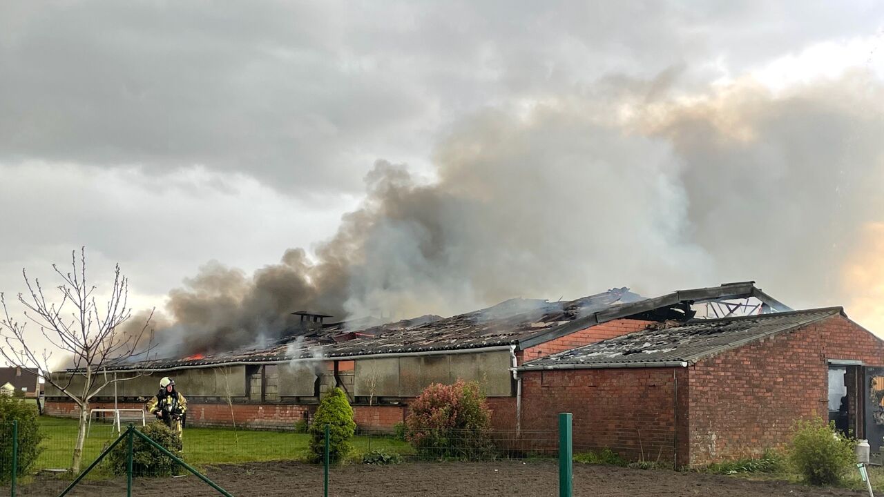 Loods met oldtimers uitgebrand in Lichtervelde | VRT NWS: nieuws
