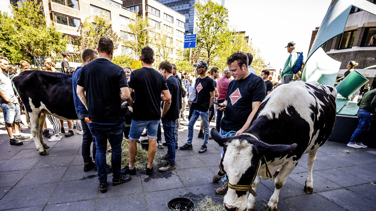 Boeren Protesteren Bij Nederlands Parlement, Waar Gestemd Is Voor ...