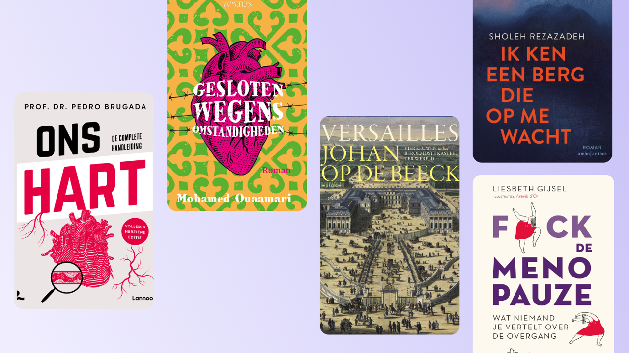 De boeken van de week: verhalen over Versailles van Johan Op de Beeck