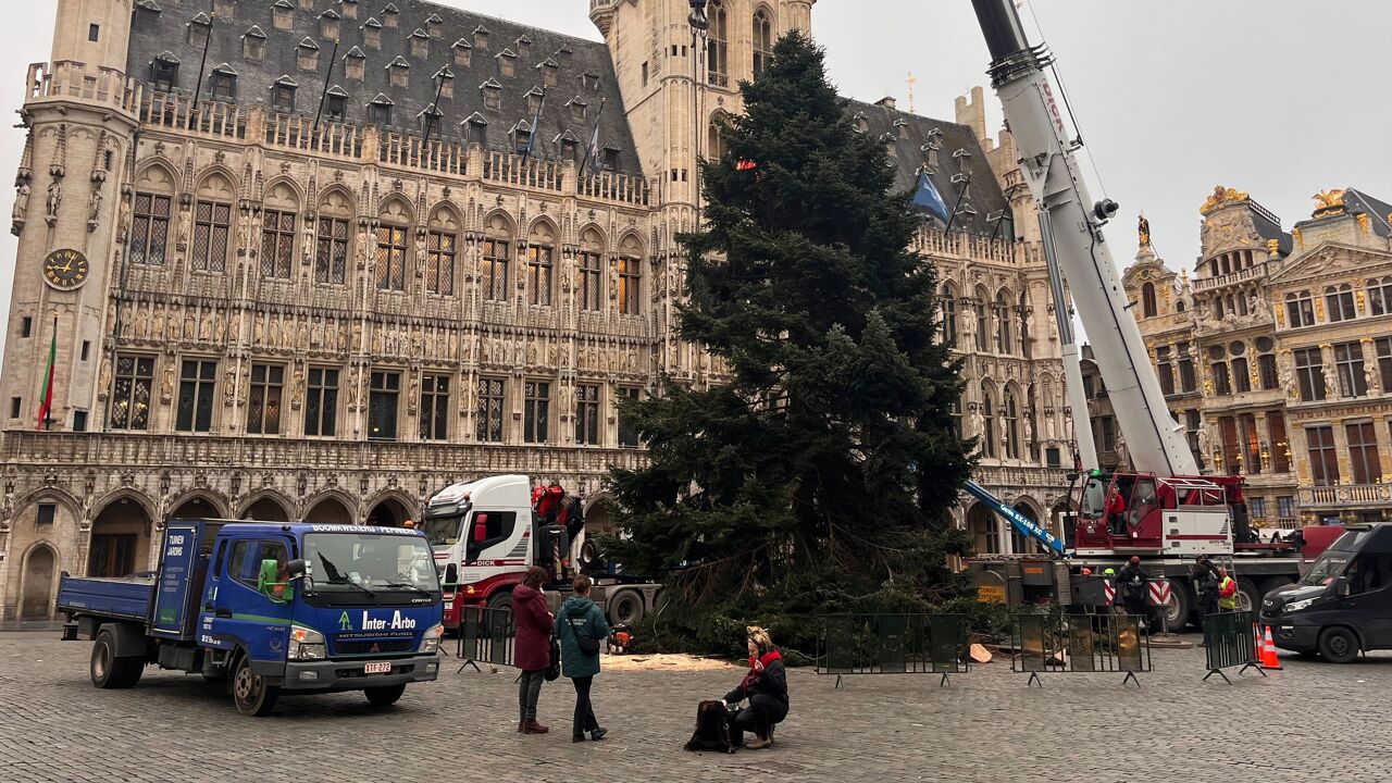 Kerstboom op Brusselse Grote Markt staat recht VRT NWS nieuws