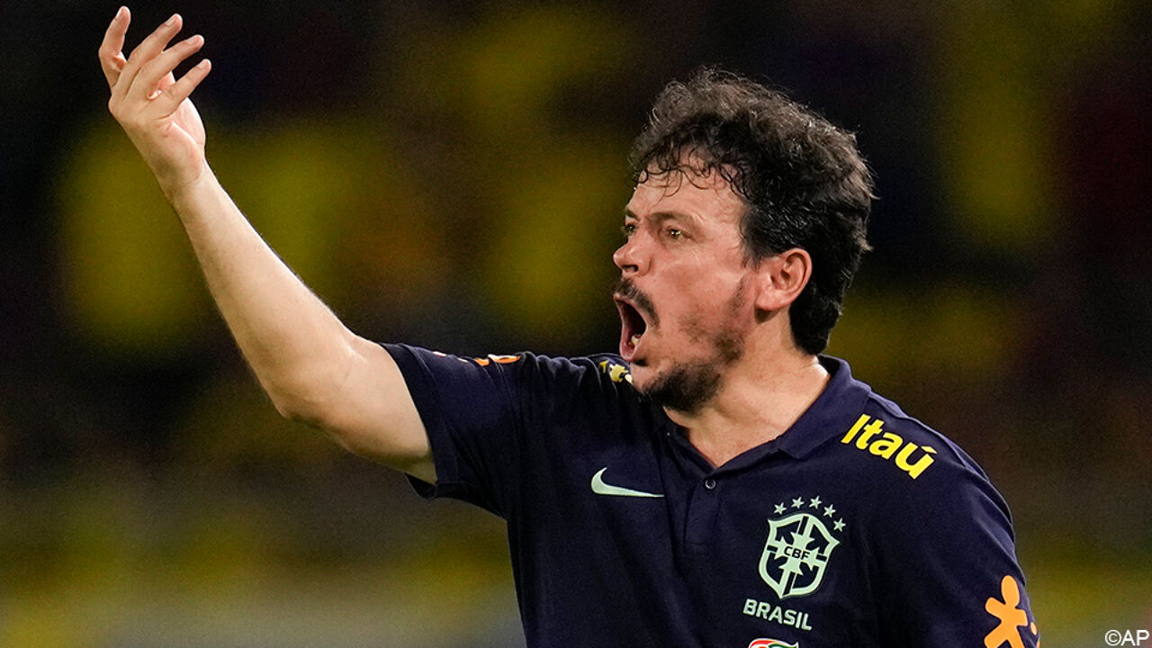 Brazilie stopt samenwerking met Fernando Diniz en start zoektocht naar