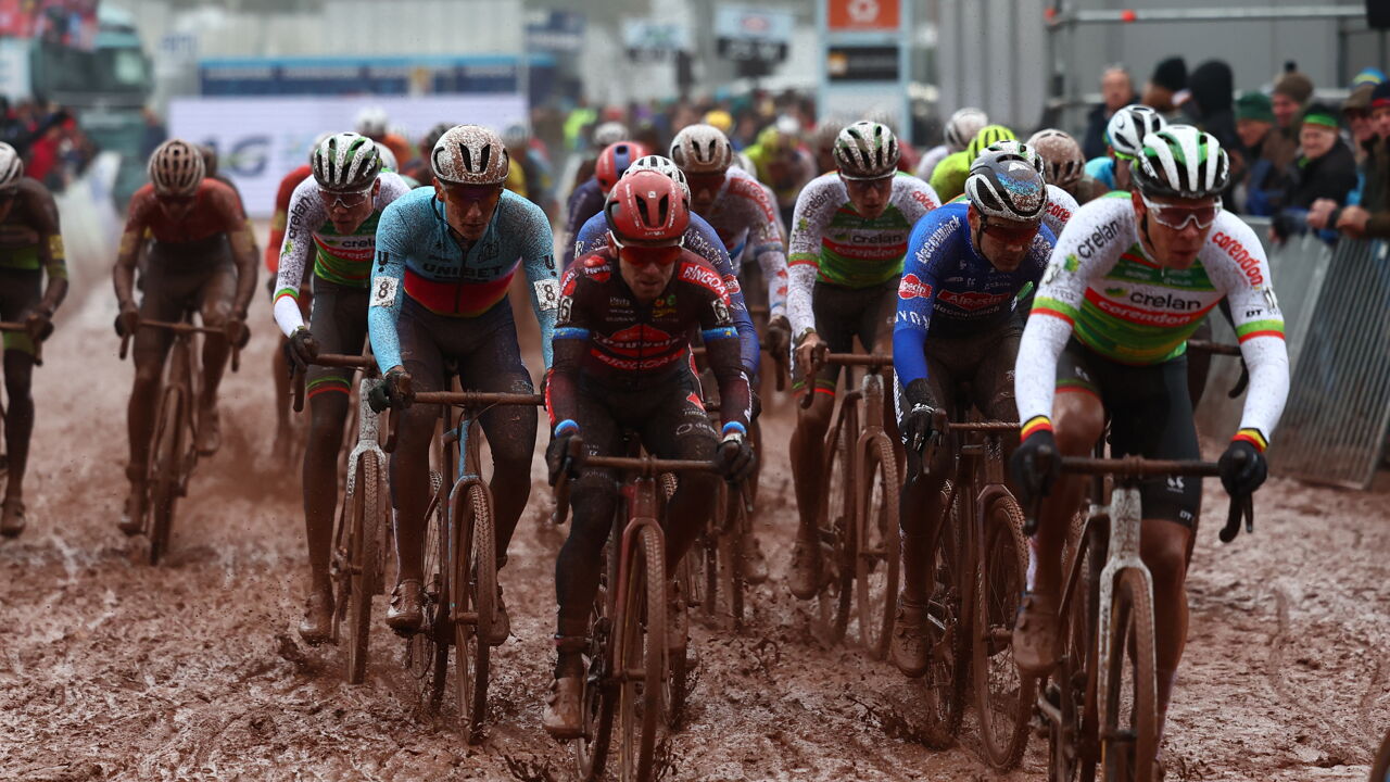 Veldritkalender 20242025 Boom is slachtoffer van beschermde status