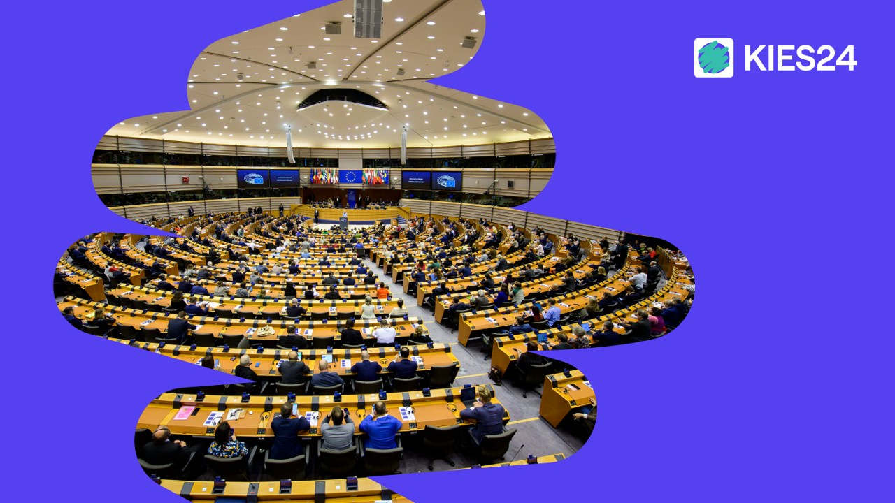 Wat doet het Europees Parlement? En welke impact hebben Europese