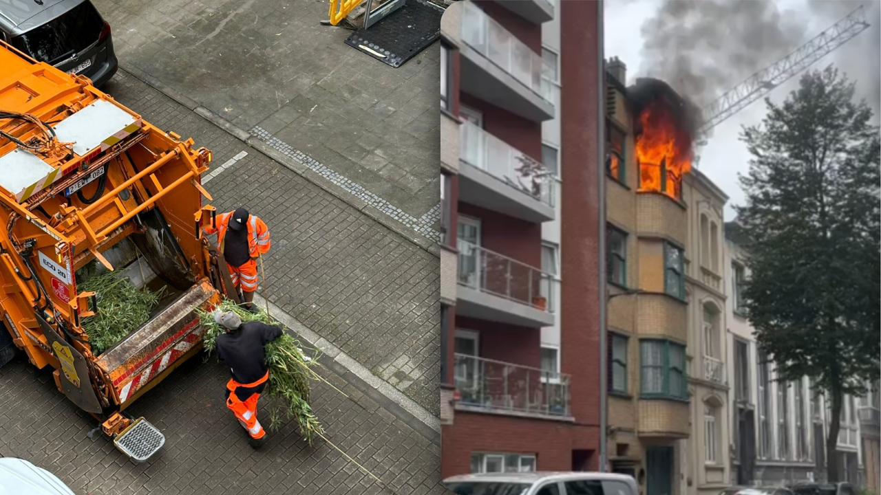 Big cannabis farm comes to light thanks to Ostend blaze (VIDEO) | VRT NWS:  news