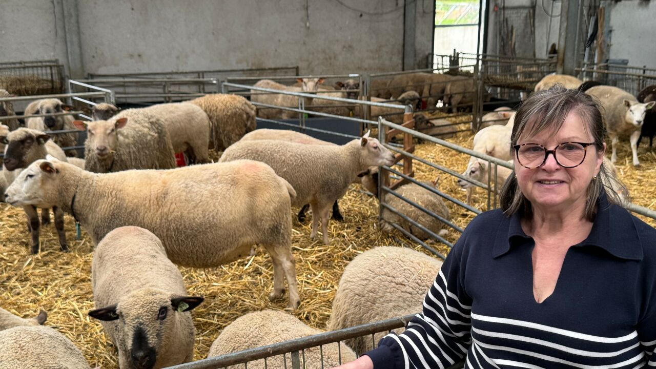 SintAnnahof in Lummen is 1e 'zonneboer' van Limburg klanten kunnen