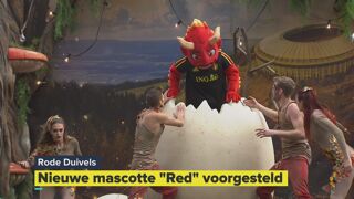 Video Nieuwe Mascotte Rode Duivels Uitgebroed Het Is Een Rode Duivel Rode Duivels Sporza