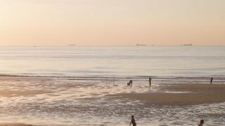 Sluikstort in natuurgebied Uitkerkse Polder in Blankenberge: 