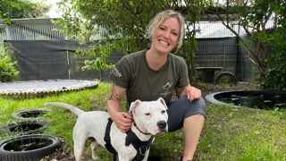 BEKIJK: Dierenasiel van Genk overvol: ”Het duurt langer voor honden en ...