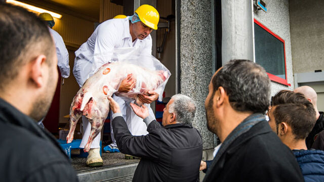 Wat moet u weten over het Offerfeest? | VRT NWS: nieuws