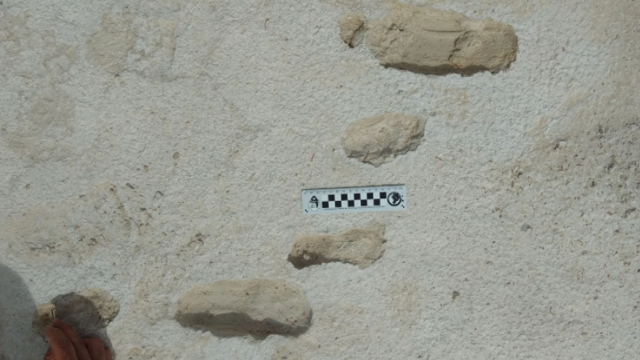 Fossiele voetafdrukken: prehistorische vrouw haastte zich met peuter ...