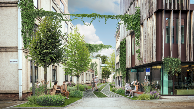 Straat in centrum van Hasselt krijgt karrenspoor, struiken ...