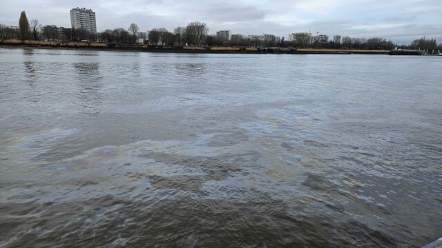 Grote olievlek op de Schelde verspreidt zich snel, maar opruim is