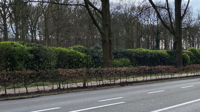 Twee Nieuwe Trajectcontroles In Schoten: één Op Plek Waar Loes (7) Drie ...