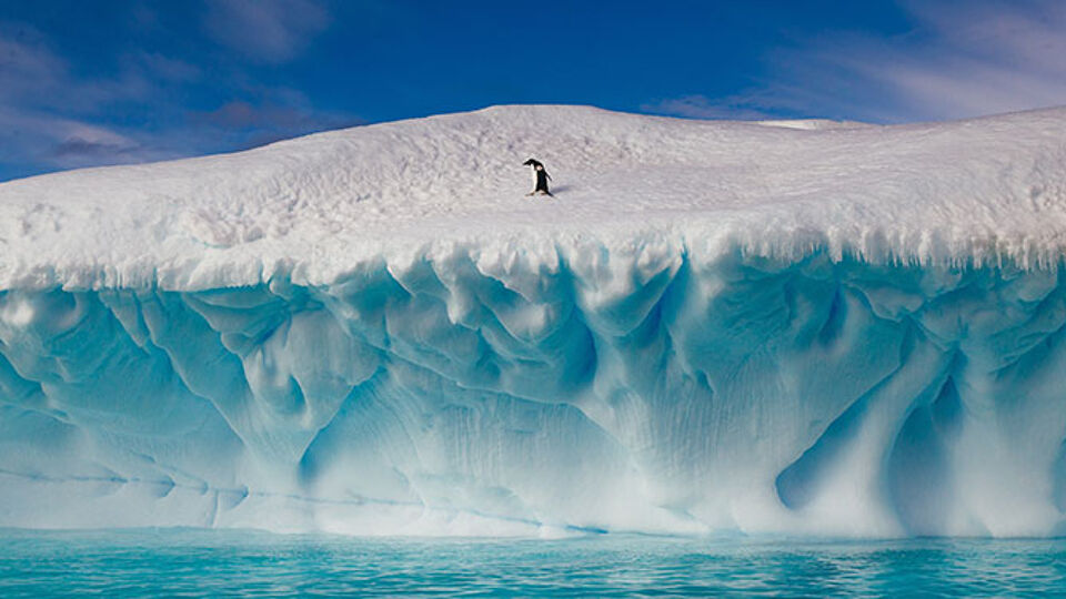 Waarom is de Noordpool sneller aan het smelten dan de Zuidpool? VRT NWS nieuws Waarom is de Noordpool sneller aan het smelten dan de Zuidpool? VRT NWS nieuws