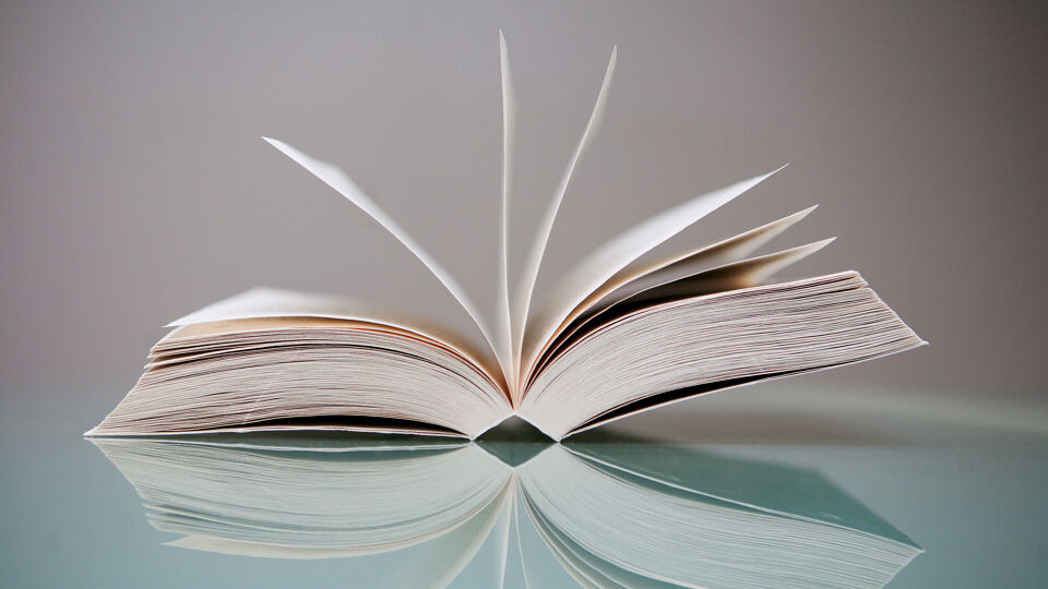 Nieuwe canon van de literatuur, zonder Jef Geeraerts, met Jan Wolkers