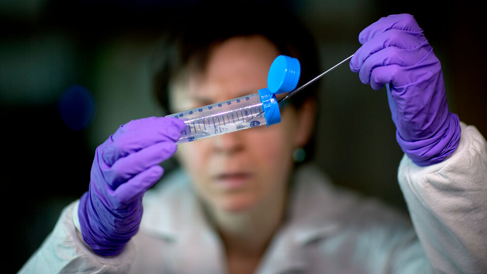 Listeria, een gevaarlijke bacterie die zich schuilhoudt in onze witte