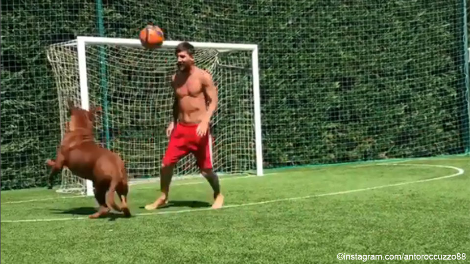 Messi en zijn reusachtige hond.