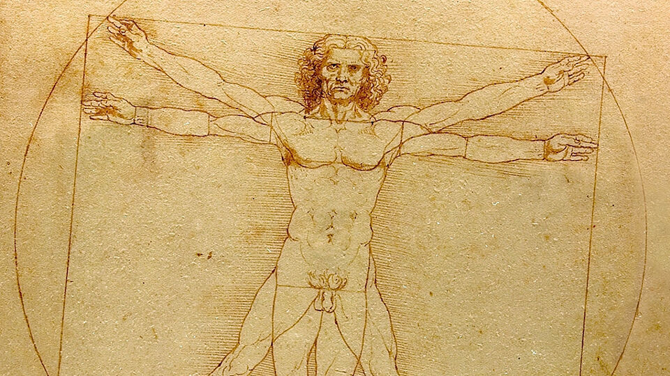 Da Vinci's "Mens van Vitruvius" dan toch naar het Louvre | VRT NWS: nieuws