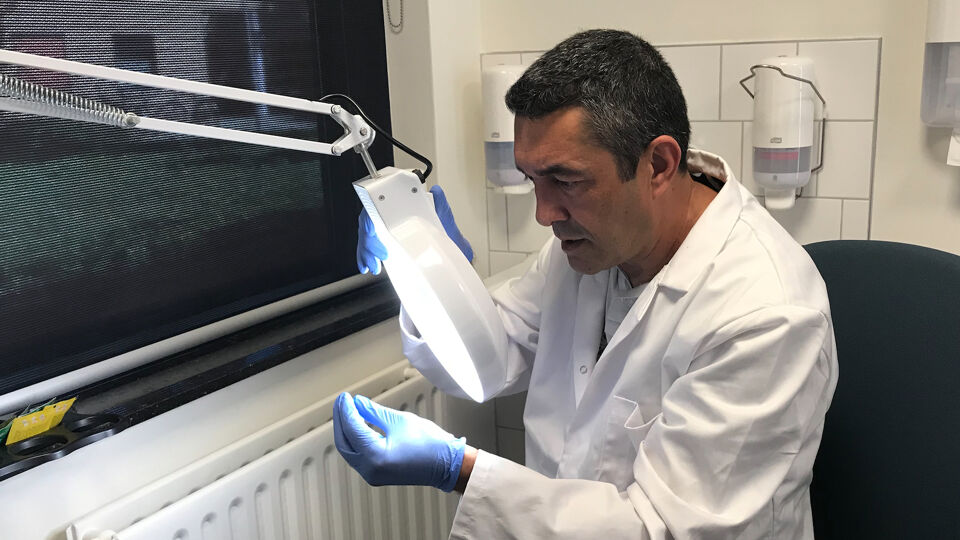 Je xtcpilletje op voorhand laten testen? In Nederland kan het, in