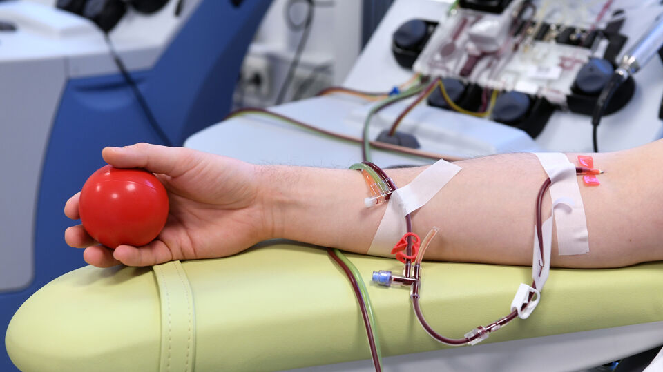 Elke uit Lanaken geeft 1,5 liter beenmerg om iemand in de VS te redden die ze niet kent Elke uit Lanaken geeft 1,5 liter beenmerg om iemand in de VS te redden die ze niet kent