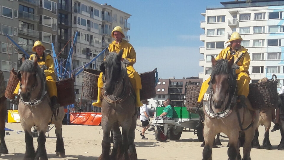 Burgemeester Koksijde Wil Gemeente Tot Koksijde-Oostduinkerke Omdopen ...