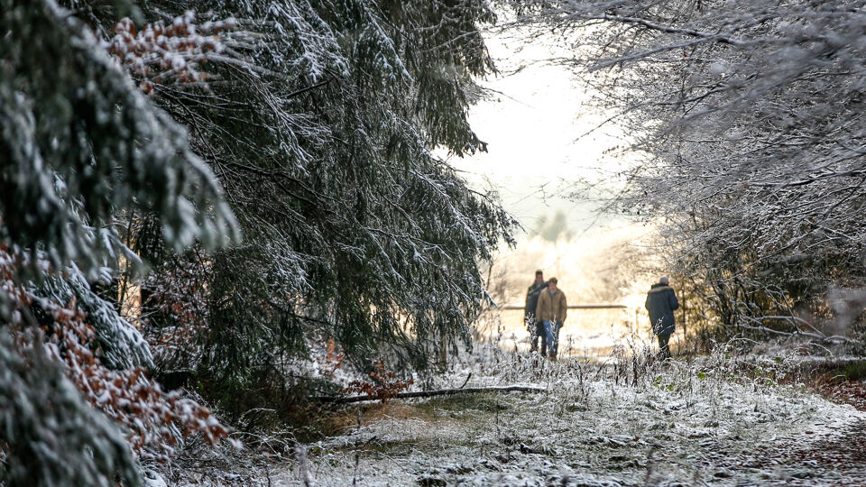Kunnen we dit weekend ook een winters witte wandeling maken in onze buurt?