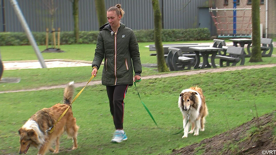 Elise Mertens op wandel met 2 trouwe viervoeters. In totaal heeft ze 5 honden.