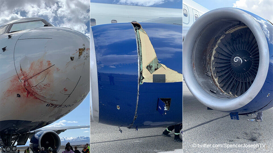 Het vliegtuig van Delta Air Lines raakte flink beschadigd.