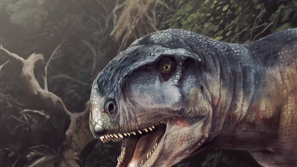 Llukalkan aliocranius kon tot 5 meter lang worden, had een krachtige beet en scherpe tanden en enorme klauwen.