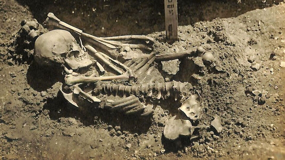 Het skelet uit Japan vertoont zo'n 800 bijtwonden en mist een hand, een voet en een been. 