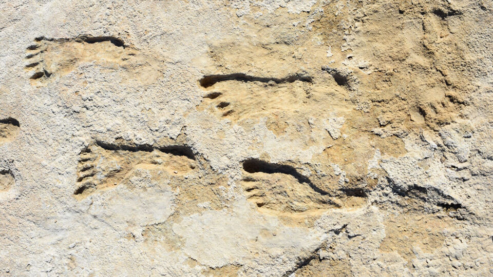 De voetsporen zijn gevonden in het White Sands National Park in New Mexico. 