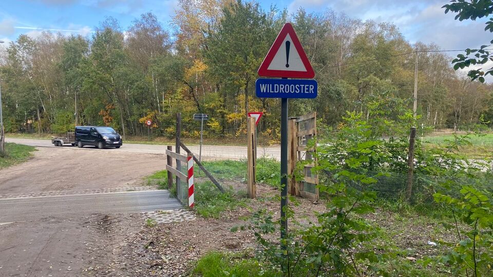 Voorlopig geen oplossing voor wolven op drukke N76 in Oudsbergen