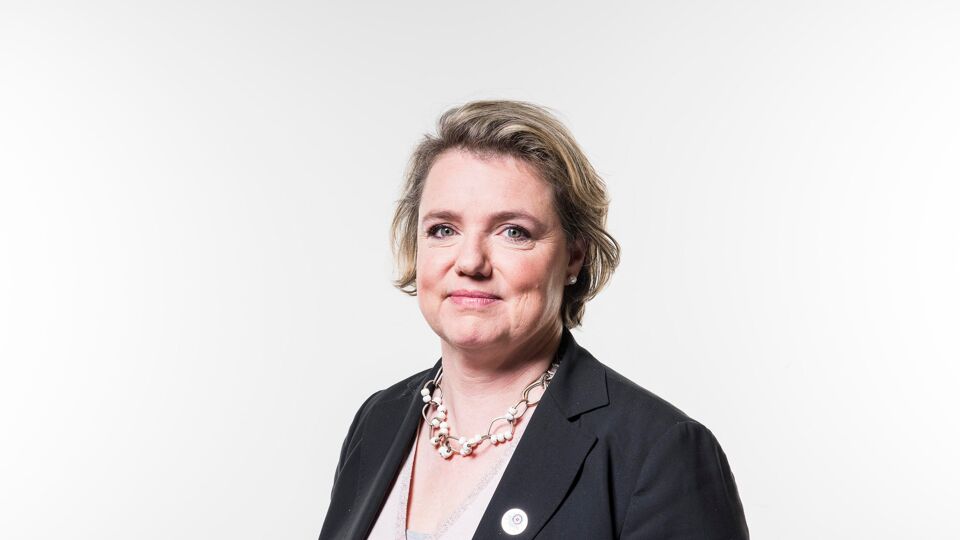 Veerle Geerlinckx heeft de eed afgelegd als opvolger van Lorin Parys in het Vlaams Parlement